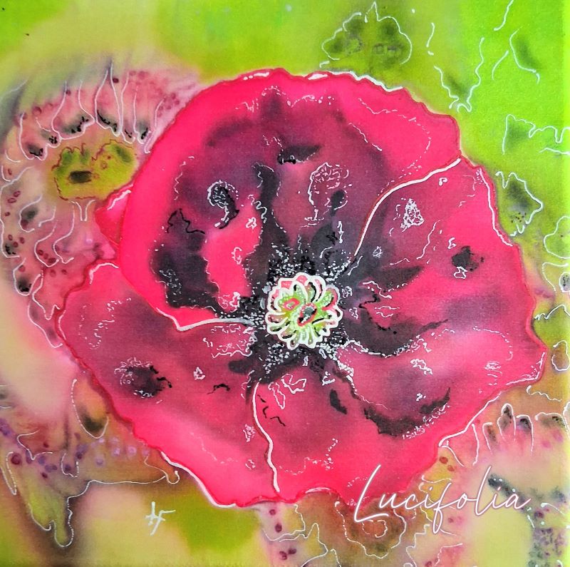 Galerie photos 20260206 113837~2(1)