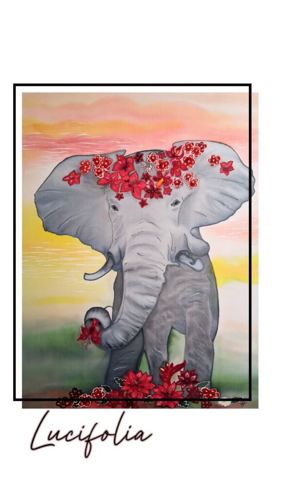 20260215 130533 collage