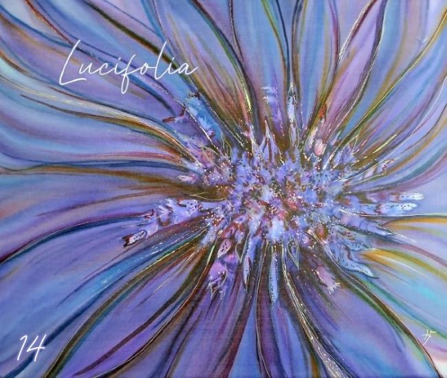 Galerie photos 20250521 105853~2(2)4