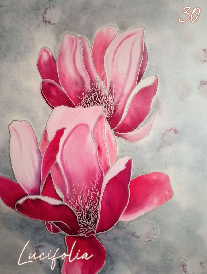 Galerie photos 20260207 115745~2 1