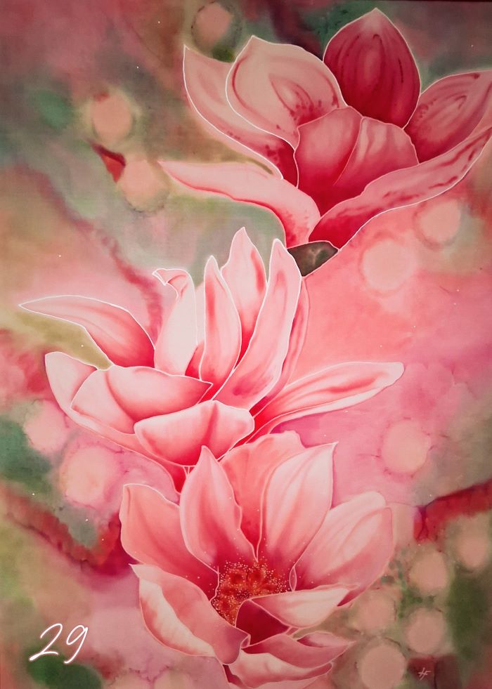 Galerie photos 20260207 174157~23