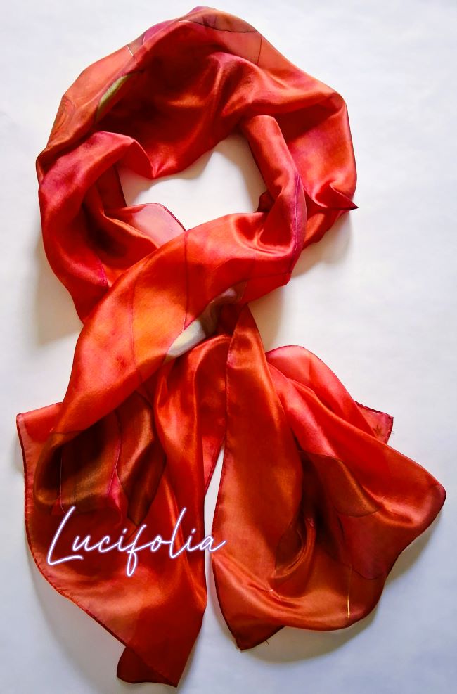 Galerie photos 20260319 113140~32